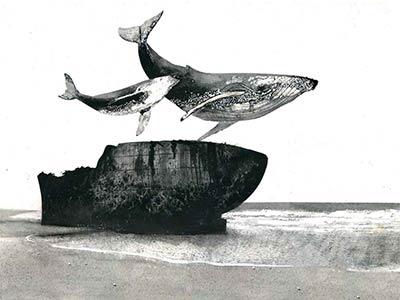 Cetacea 2. L'incantatore di balene