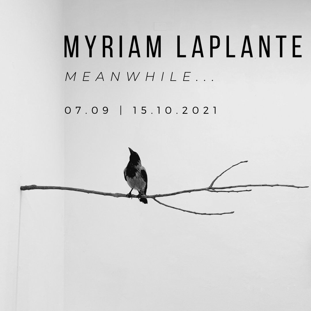 Myriam Laplante | Meanwhile...